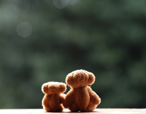  bears backs